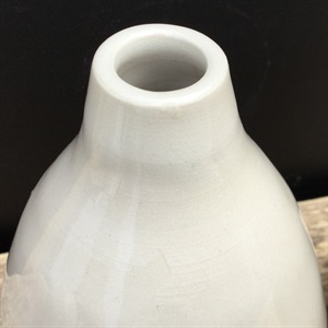 Botz Penselglasur til keramik, Transparent, vaseudsnit